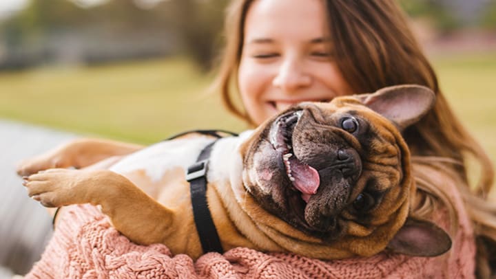 A girl holding her smiling french bulldog.