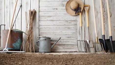 Farm tools stood up outside shed.