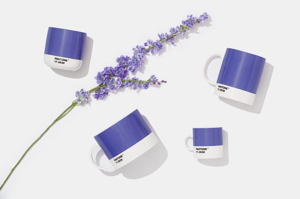 Coffee mugs with Pantone logo and lavender plant.