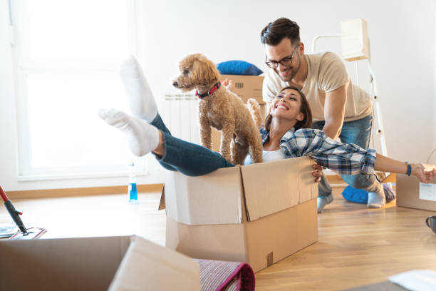 Couple playing in cardboard box with dog.
